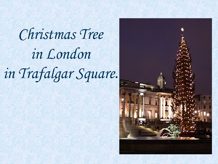 Christmas Tree in London in Trafalgar Square. 