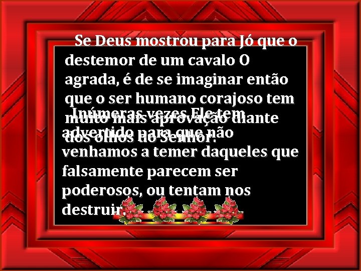  Se Deus mostrou para Jó que o destemor de um cavalo O agrada,