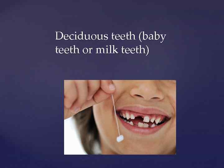 Deciduous teeth (baby teeth or milk teeth) 