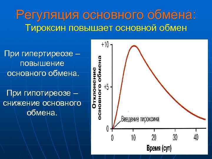 Повышение обмена. Повышение основного обмена наблюдается при гиперфункции. Основной обмен при гипертиреозе. Повышенный основной обмен. Основной обмен повышается при.