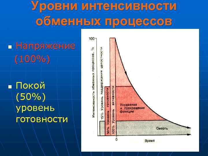 Уровни интенсивности обменных процессов n n Напряжение (100%) Покой (50%) уровень готовности 
