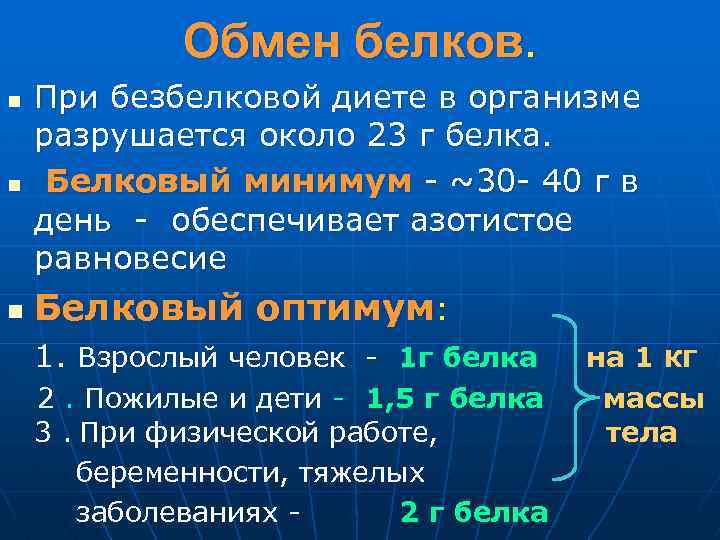 Обмен белков. n При безбелковой диете в организме разрушается около 23 г белка. Белковый