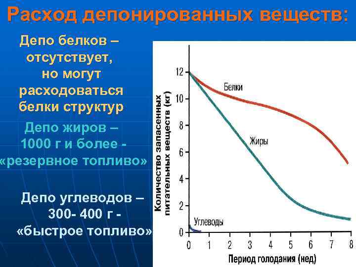 Расход депонированных веществ: Депо белков – отсутствует, но могут расходоваться белки структур Депо жиров