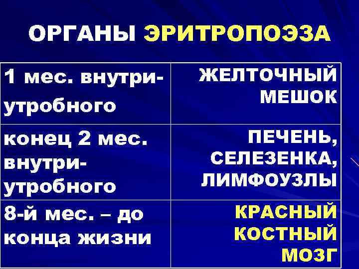 ОРГАНЫ ЭРИТРОПОЭЗА 1 мес. внутриутробного ЖЕЛТОЧНЫЙ МЕШОК конец 2 мес. внутриутробного 8 -й мес.