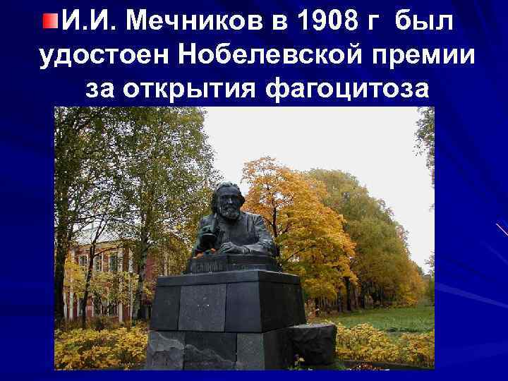 И. И. Мечников в 1908 г был удостоен Нобелевской премии за открытия фагоцитоза 
