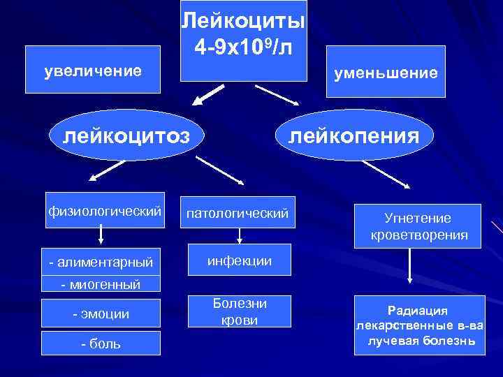 Лейкоциты 4 -9 x 109/л увеличение уменьшение лейкоцитоз лейкопения физиологический патологический - алиментарный инфекции