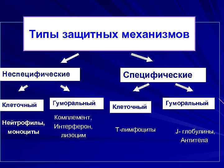 Типы защитных механизмов Неспецифические Клеточный Гуморальный Нейтрофилы, моноциты Комплемент, Интерферон, лизоцим Специфические Клеточный Т-лимфоциты