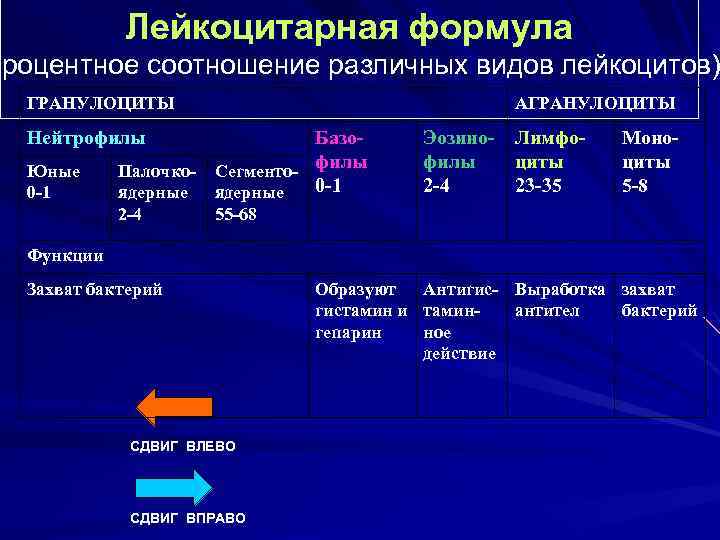 Лейкоцитарная формула процентное соотношение различных видов лейкоцитов) ГРАНУЛОЦИТЫ АГРАНУЛОЦИТЫ Нейтрофилы Базо. Палочко- Сегменто- филы