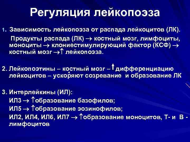 Регуляция лейкопоэза. Зависимость лейкопоэза от распада лейкоцитов (ЛК). 1 Продукты распада (ЛК) костный мозг,