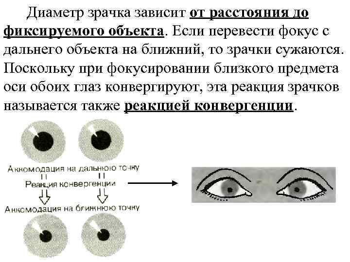 Диаметр зрачка зависит от расстояния до фиксируемого объекта. Если перевести фокус с дальнего объекта