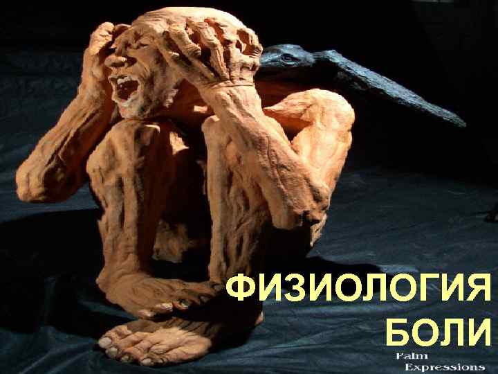ФИЗИОЛОГИЯ БОЛИ 