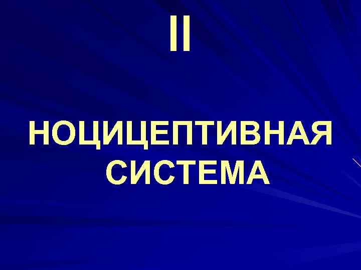 II НОЦИЦЕПТИВНАЯ СИСТЕМА 