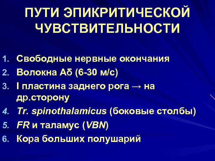 Схему структурной организации восприятия первичной локализованной боли эпикритической