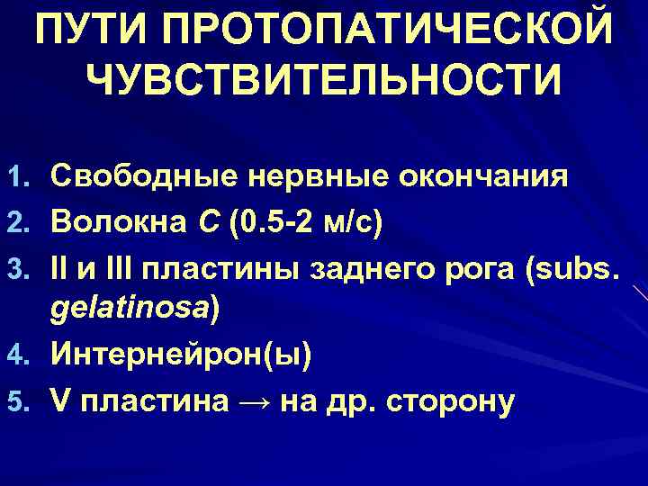 ПУТИ ПРОТОПАТИЧЕСКОЙ ЧУВСТВИТЕЛЬНОСТИ 1. Свободные нервные окончания 2. Волокна С (0. 5 -2 м/с)