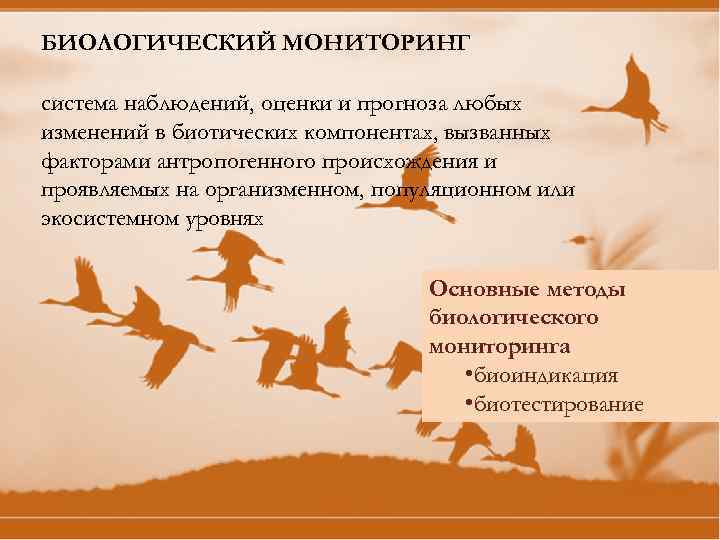 БИОЛОГИЧЕСКИЙ МОНИТОРИНГ система наблюдений, оценки и прогноза любых изменений в биотических компонентах, вызванных факторами