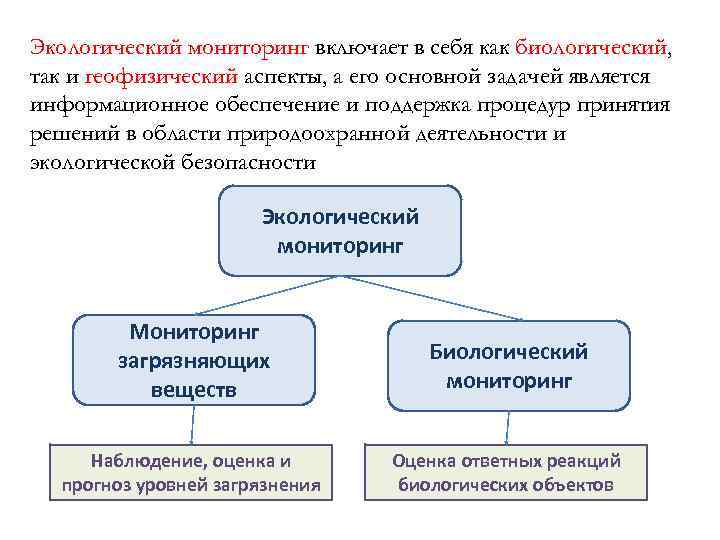 Экологический мониторинг включает в себя как биологический, так и геофизический аспекты, а его основной