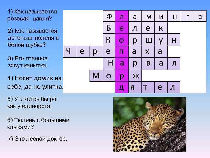 1) Как называется розовая цапля? 2) Как называется детёныш тюленя в белой шубке? 3)