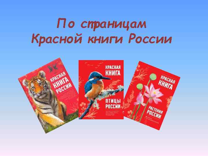 По страницам Красной книги России 