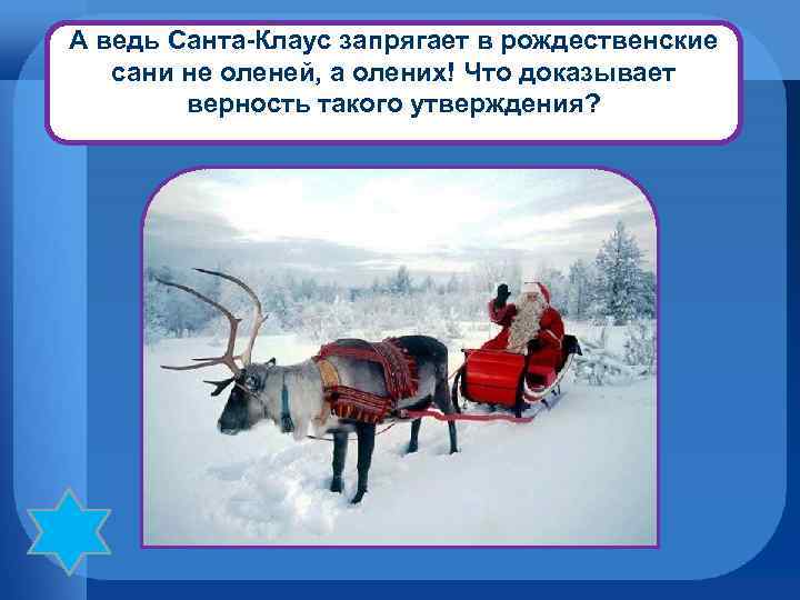 А ведь Санта-Клаус запрягает в рождественские сани не оленей, а олених! Что доказывает верность