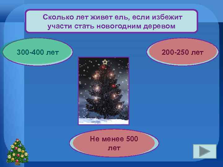  Сколько лет живет ель, если избежит участи стать новогодним деревом 300 -400 лет