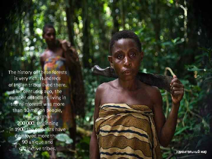 The history of these forests is very rich. Hundreds of Indian tribes lived there.