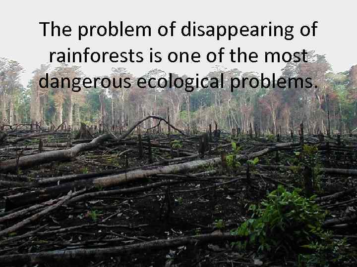 The problem of disappearing of rainforests is one of the most dangerous ecological problems.