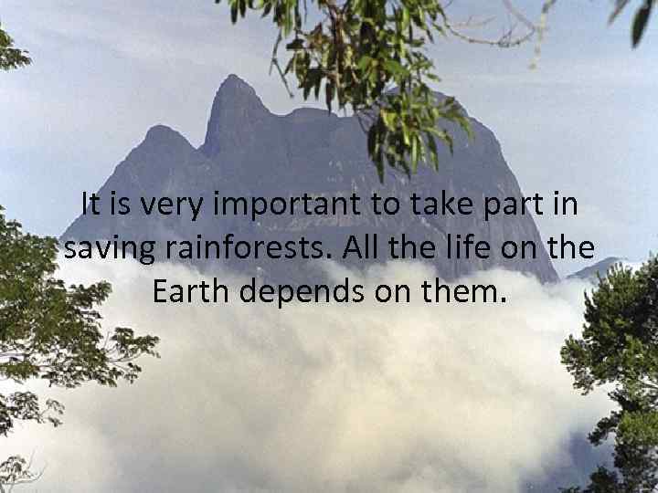 It is very important to take part in saving rainforests. All the life on