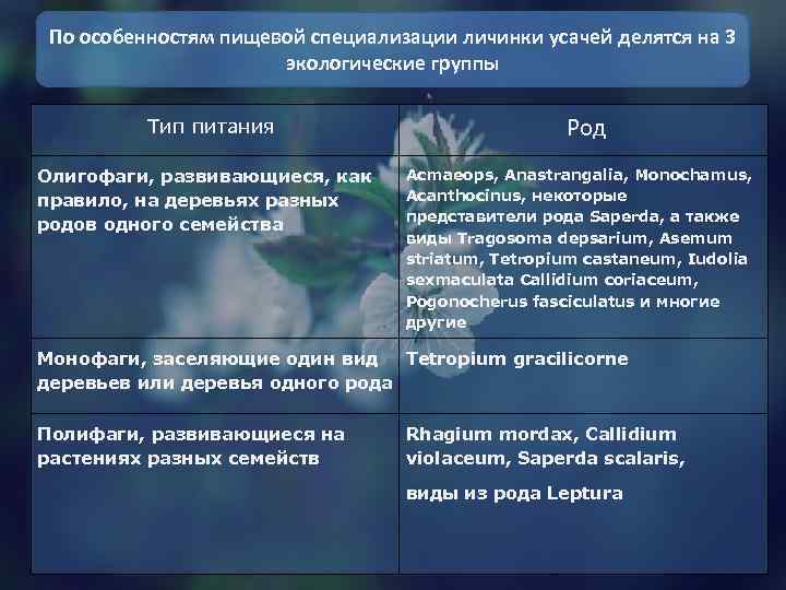По особенностям пищевой специализации личинки усачей делятся на 3 экологические группы Тип питания Олигофаги,