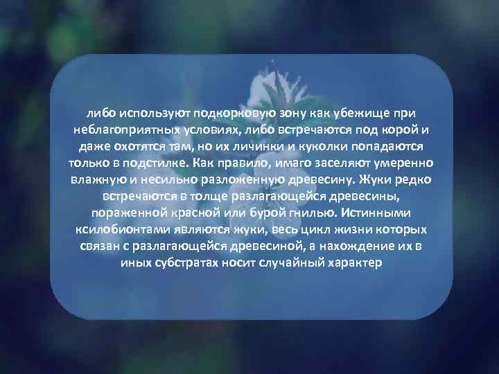 либо используют подкорковую зону как убежище при неблагоприятных условиях, либо встречаются под корой и