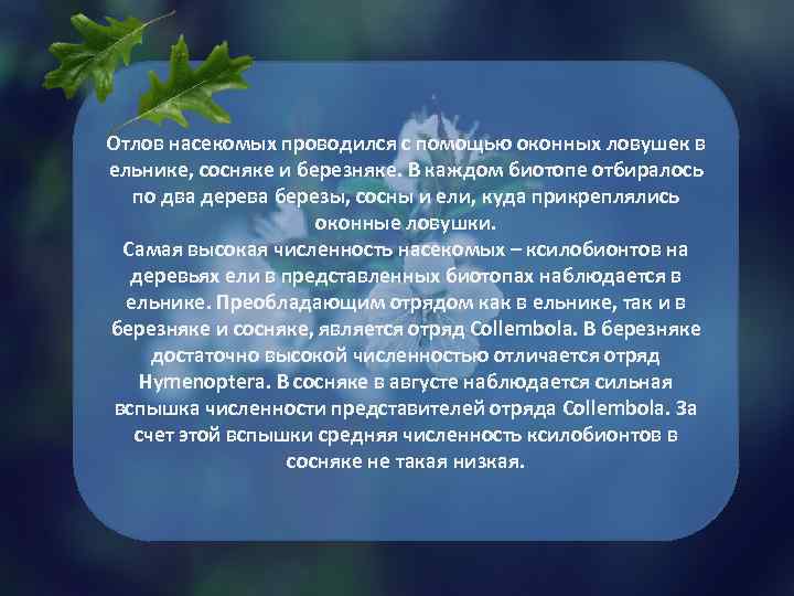 Отлов насекомых проводился с помощью оконных ловушек в ельнике, сосняке и березняке. В каждом