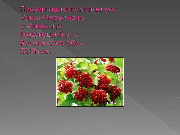 Презентацию подготовила: Анна Мерзлякова, с. Минькино , Грязовецкий р-н. , Вологодская обл. , 2015