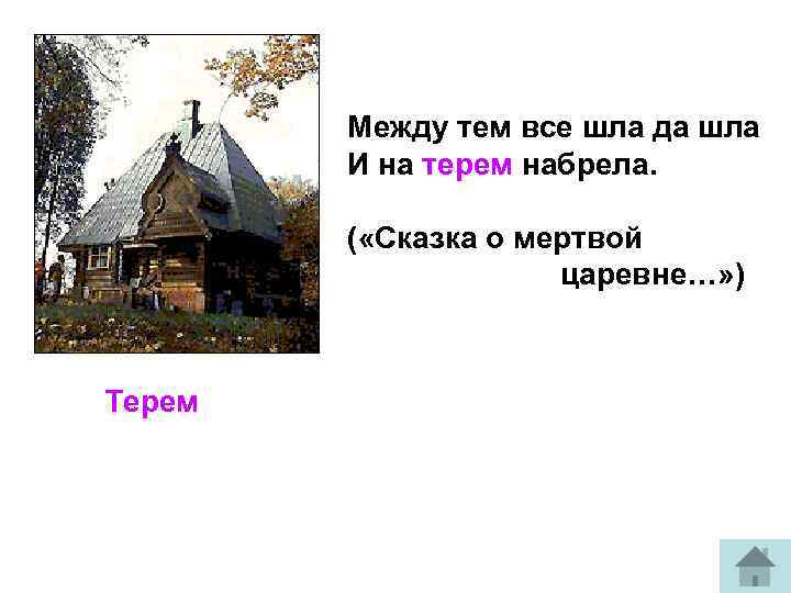 Между тем. Между тем всё шла да шла и на Терем набрела. Терем значение слова Пушкин. Терем лексическое значение. Мёртвая Царевна слово Терем.