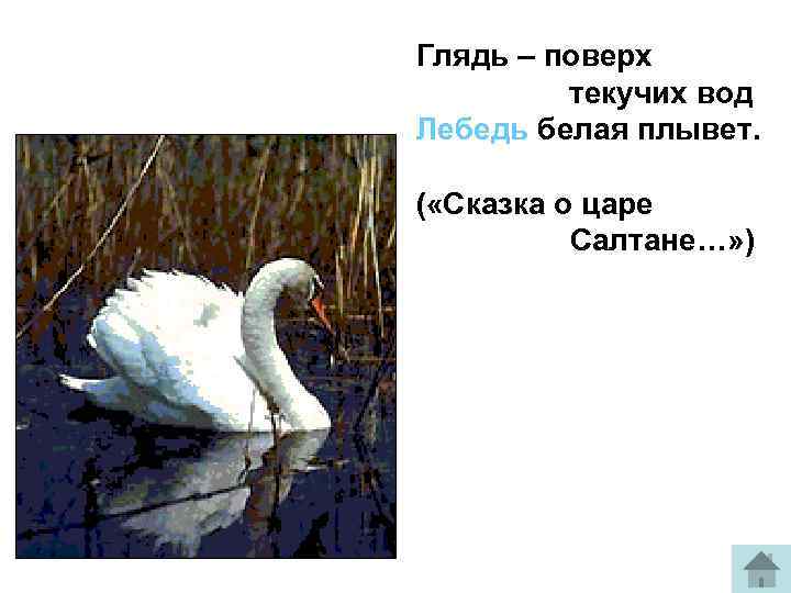 Глядь – поверх текучих вод Лебедь белая плывет. ( «Сказка о царе Салтане…» )