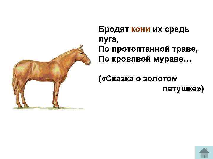 Бродят кони их средь луга, По протоптанной траве, По кровавой мураве… ( «Сказка о