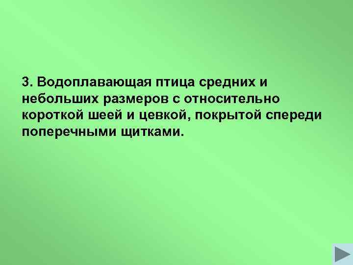 3. Водоплавающая птица средних и небольших размеров с относительно короткой шеей и цевкой, покрытой