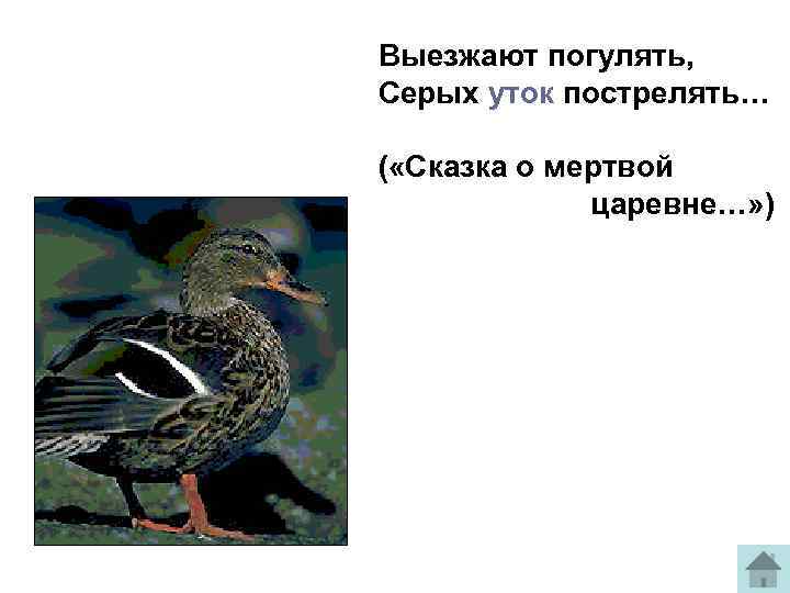 Выезжают погулять, Серых уток пострелять… ( «Сказка о мертвой царевне…» ) 