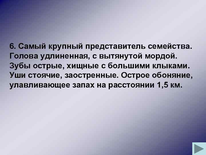 6. Самый крупный представитель семейства. Голова удлиненная, с вытянутой мордой. Зубы острые, хищные с