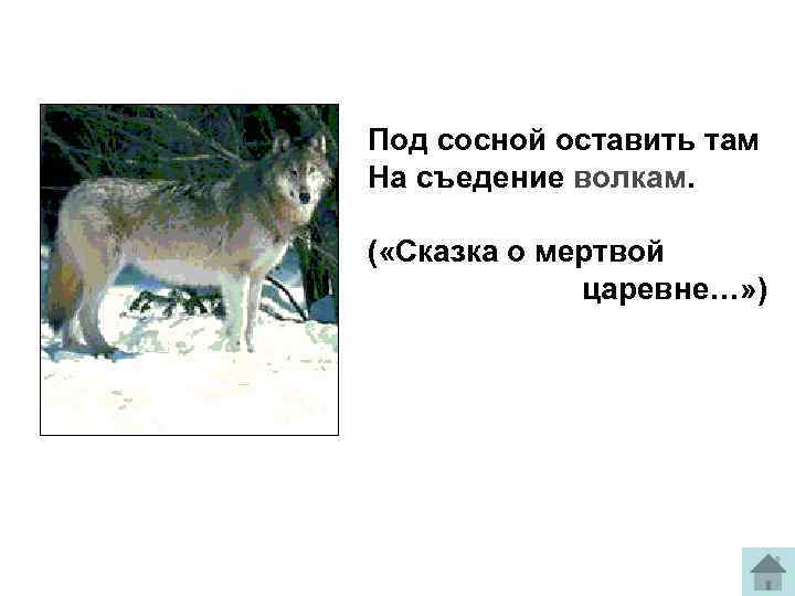 Под сосной оставить там На съедение волкам. ( «Сказка о мертвой царевне…» ) 