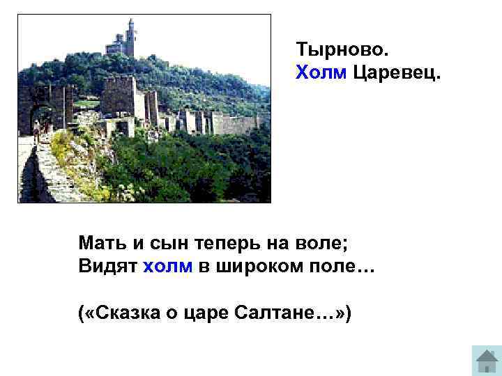 Тырново. Холм Царевец. Мать и сын теперь на воле; Видят холм в широком поле…