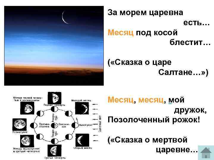 За морем царевна есть… Месяц под косой блестит… ( «Сказка о царе Салтане…» )