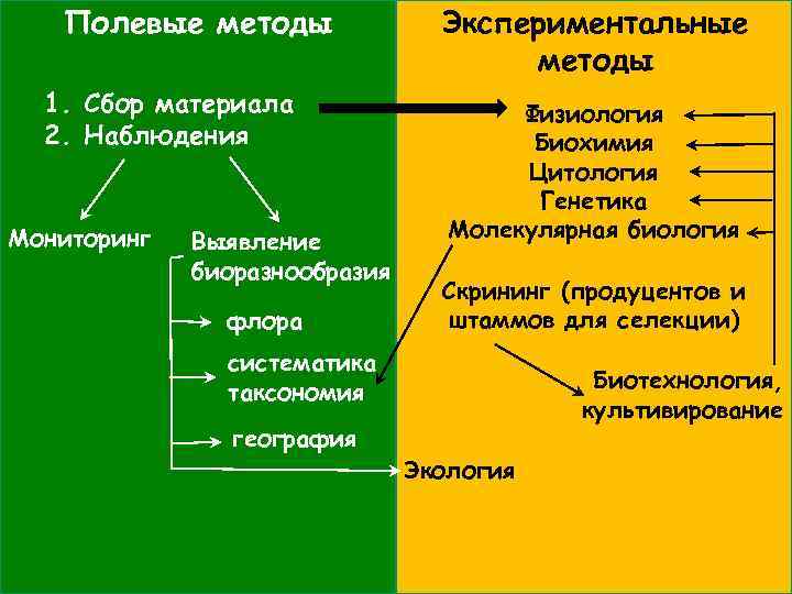 Полевой метод исследования. Полевые методы. Методы исследования грибов. Полевые методы исследования.