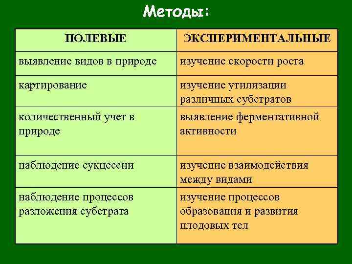 Полевой метод исследования. Методы исследования грибов. Методы изучения грибов. Виды полевых методов исследования. Метод исследования грибов.