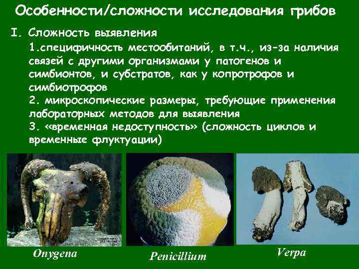 Особенности/сложности исследования грибов I. Сложность выявления 1. специфичность местообитаний, в т. ч. , из-за