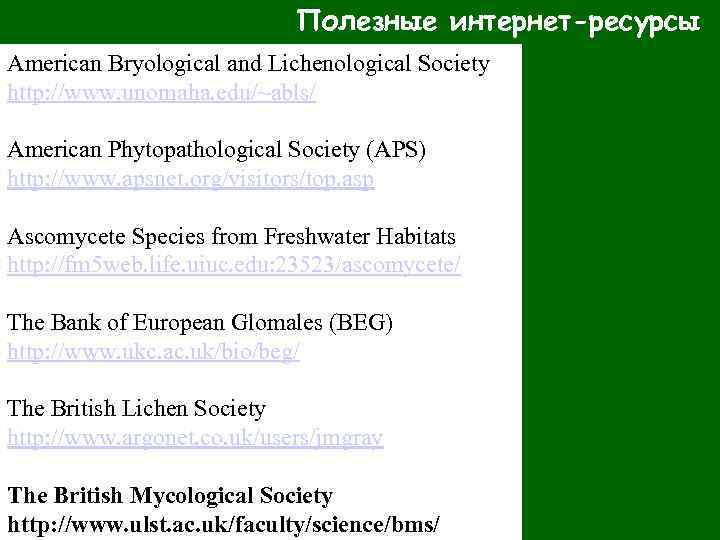 Полезные интернет-ресурсы American Bryological and Lichenological Society http: //www. unomaha. edu/~abls/ American Phytopathological Society