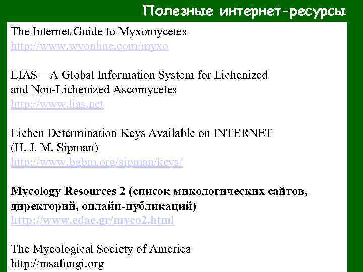 Полезные интернет-ресурсы The Internet Guide to Myxomycetes http: //www. wvonline. com/myxo LIAS—A Global Information