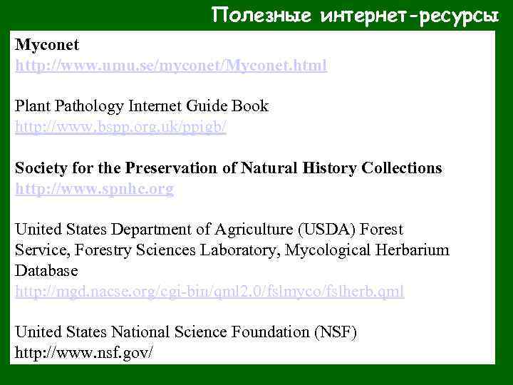 Полезные интернет-ресурсы Myconet http: //www. umu. se/myconet/Myconet. html Plant Pathology Internet Guide Book http: