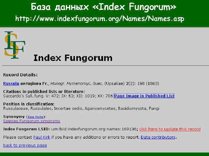 База данных «Index Fungorum» http: //www. indexfungorum. org/Names. asp 