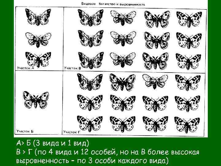 А> Б (3 вида и 1 вид) В > Г (по 4 вида и