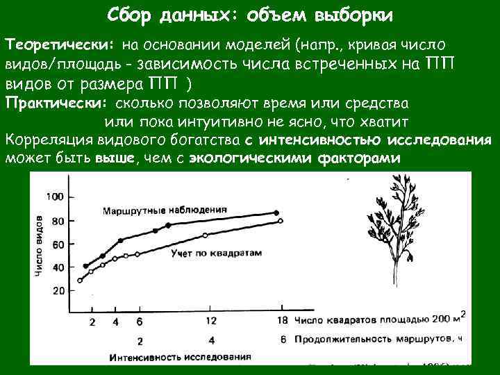 Сбор данных: объем выборки Теоретически: на основании моделей (напр. , кривая число видов/площадь -