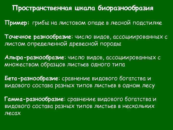 Пространственная шкала биоразнообразия Пример: грибы на листовом опаде в лесной подстилке Точечное разнообразие: число